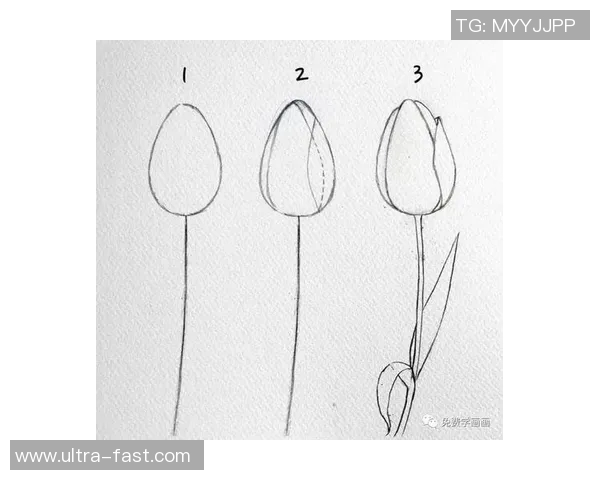 轻松学画足球明星简易教程让你成为绘画小达人